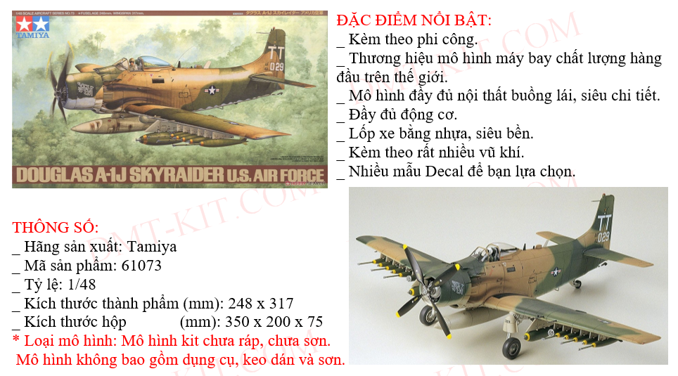 61073tam